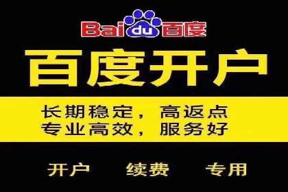 百度竞价推广公司经典案例解析：广告投放策略的智慧